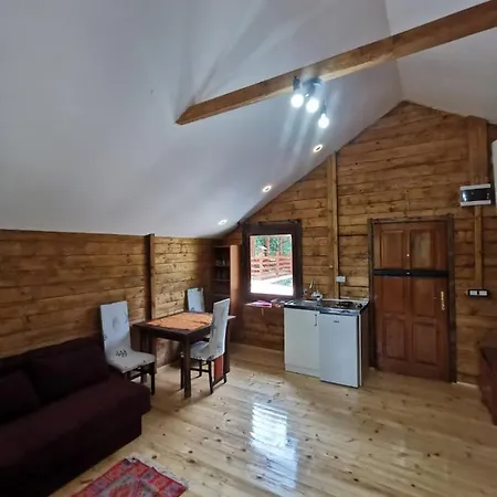 Holiday home Tri Kolibe Bor